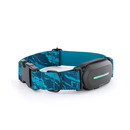Kolyy series 2 /  Collar Localizador GPS para Perros.