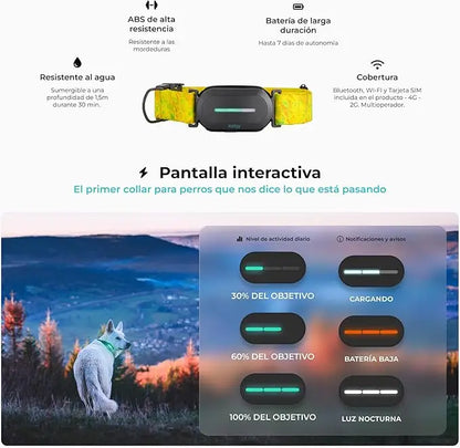 Kolyy series 2 /  Collar Localizador GPS para Perros.