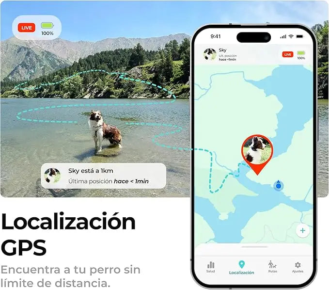 Kolyy series 2 /  Collar Localizador GPS para Perros.
