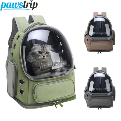 Bolsa de Transporte Transparente para Gatos y Perros pequeños,