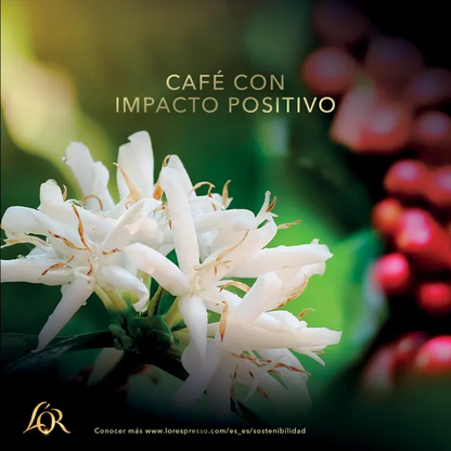 Pack 40 Capsulas (Ristretto L'OR Coffee) Gold Premium,  Intensidad 11